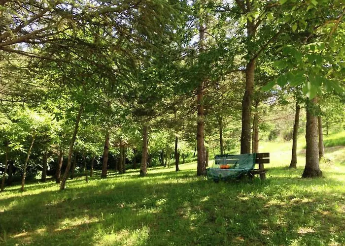 Haus Fuer 11 Erwachsene Und 9 In Apecchio By Interhome Apecchio